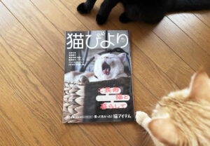 ［雑誌掲載］『猫びより』2026年秋号